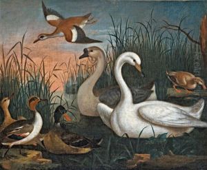 Hattyuk Es Vadkacsak by Philipp Ferdinand de Hamilton