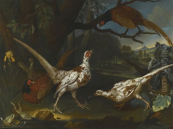 Oriental Pheasants By A Pond In A Wooded Landscape - view 1
