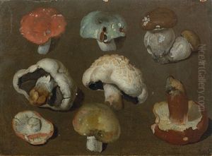 Etude De Champignons by Philipp Ferdinand de Hamilton