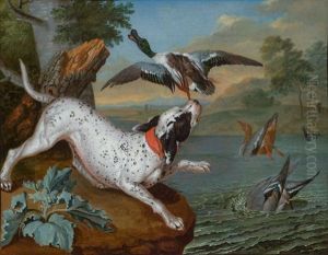 Jagdhund Und Wildenten