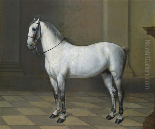 Ein Lipizzanerhengst - view 1