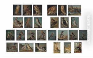Birds, Including Birds Of Prey, Mallards, Owls, Finches And A Heron (set Of 26 Works) by Philipp Ferdinand de Hamilton