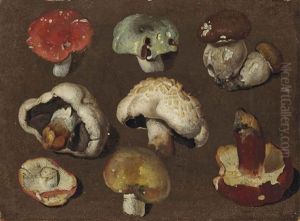 Etude De Champignons (study) by Philipp Ferdinand de Hamilton