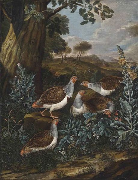 Partridges In A Landscape - view 1