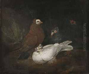 Kauernde Tauben Mit Einem Nachtpfauenauge by Philipp Ferdinand de Hamilton