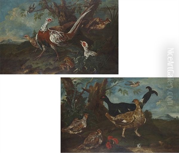 Pheasant In A Landscape (+ A Pheasant And Other Birds; Pair) - view 1