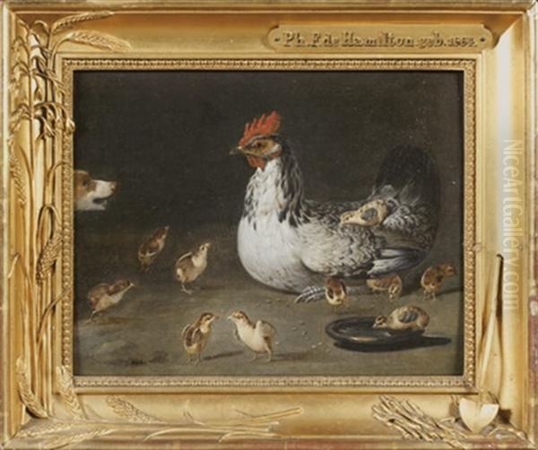 Poule Et Ses Poussins Surpris Par Un Chien - view 1