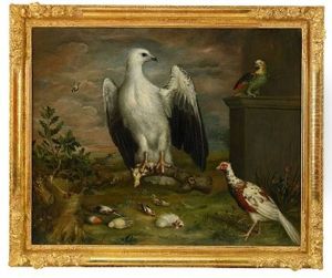 Den Vita Ornen by Philipp Ferdinand de Hamilton