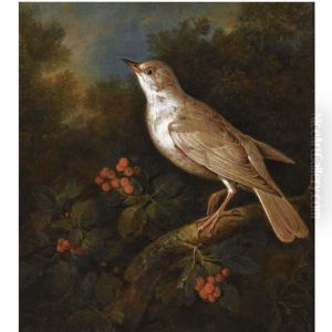 A Songbird On A Branch In A Wooded Landscape, Near A Currant Bush A Songbird On A Branch In A Wooded Landscape, Near A Currant Bush