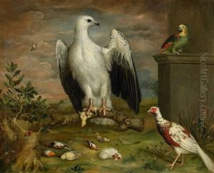 Den Vita Ornen by Philipp Ferdinand de Hamilton