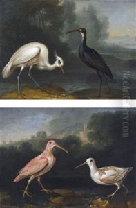 An Egret And A Black Stork In A Landscape (+ A Curlew And A Greenshank In A Landscape; Pair)