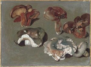 Studies Of Fungi (the Lower Three Are Russula Cyanoxantha - The Charcoal Burner) by Philipp Ferdinand de Hamilton