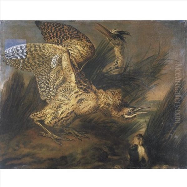 Herons Frightened By A Dog - view 1