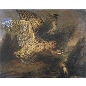 Herons Frightened By A Dog