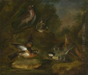 Waldstuck Mit Vogeln by Philipp Ferdinand de Hamilton