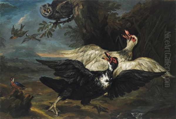 Zwei Muschusenten, Eine Waldohreule, Oben, Ein Rotkehlchen Und Eine Kohlmeise Im Flug Sowie Ein Eisvogel, Links Unten, In Einer Bewaldeten Landschaft - view 1