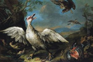 Moschusenten Von Einem Mausebussard Bedroht, Weitere Vogel: Ein Feldsperling Im Flug Und Ein Gimpel Sowie Eine Blaumeise In Einer Gebirgigen Landschaft