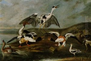 Ein Reiher, Enten Und Andere Wasservogel Am Ufer Eines Sees by Philipp Ferdinand de Hamilton