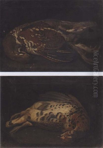 Study Of Grouse - view 1
