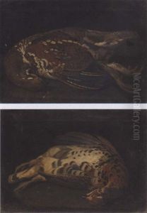 Study Of Grouse