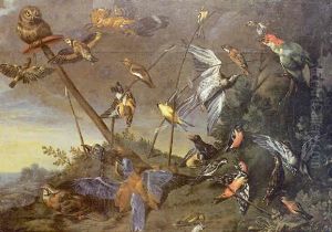 Oiseau Dans Un Parc Oiseau Dans Un Parc