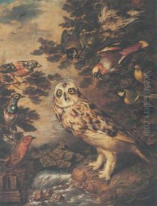 An Owl Mocked By Other Birds