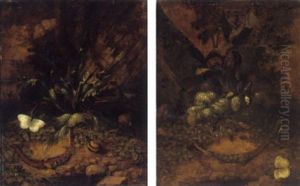 Stilleben Mit Eidechsen, Schnecken Und Scmetterlingen by Philipp Ferdinand de Hamilton