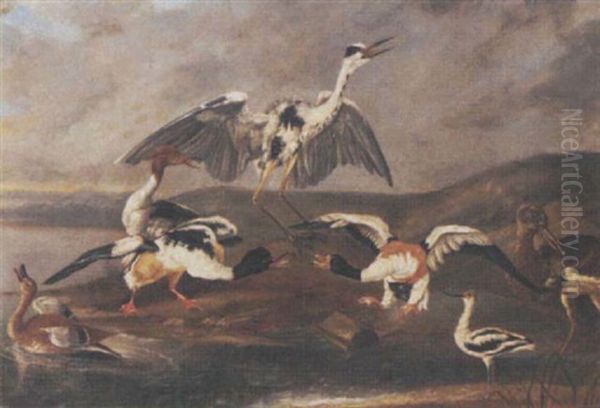 Ducks, A Heron And Other Birds On A Bank - view 1