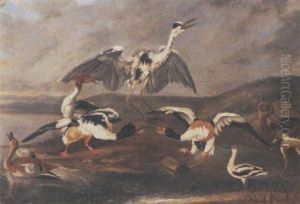 Ducks, A Heron And Other Birds On A Bank