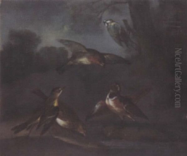Songbirds Drinking From A Pool In A Landscape - view 1