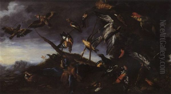 Perchoir Aux Oiseaux - view 1