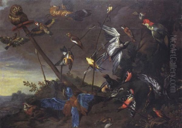 Oiseaux Dans Un Parc - view 1