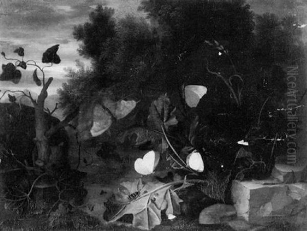 Nature Morte De Sous-bois Aux Papillons - view 1