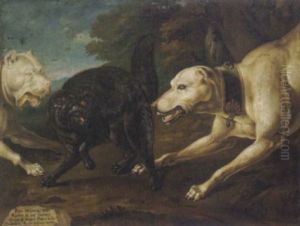 Zwei Hunde Jagen Einen Wilden, Schwarzen Kater by Philipp Ferdinand de Hamilton