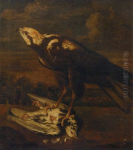 A Falcon With A Dead Pigeon