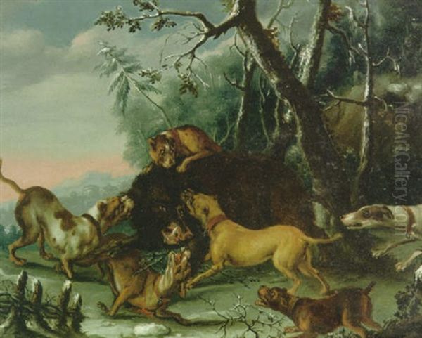 Jagdhunde Stellen Einen Eber - view 1