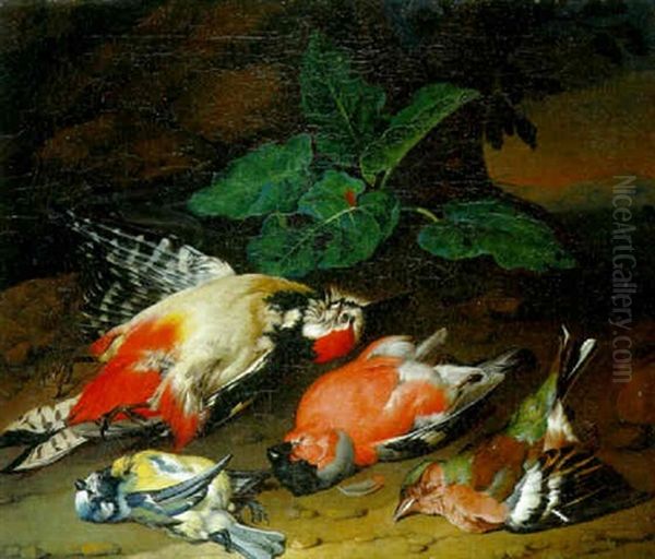 A Dead Great Spotted Woodpecker And Other Birds On A Rocky Bank - view 1