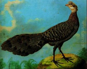 A Grey Peacock Pheasant by Philipp Ferdinand de Hamilton