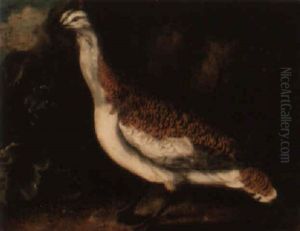 A Great Bustard A Great Bustard