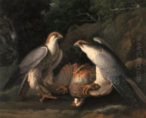 Jagdfalken (falca Rusticalis) Mit Geschlagenem Fasan by Philipp Ferdinand de Hamilton