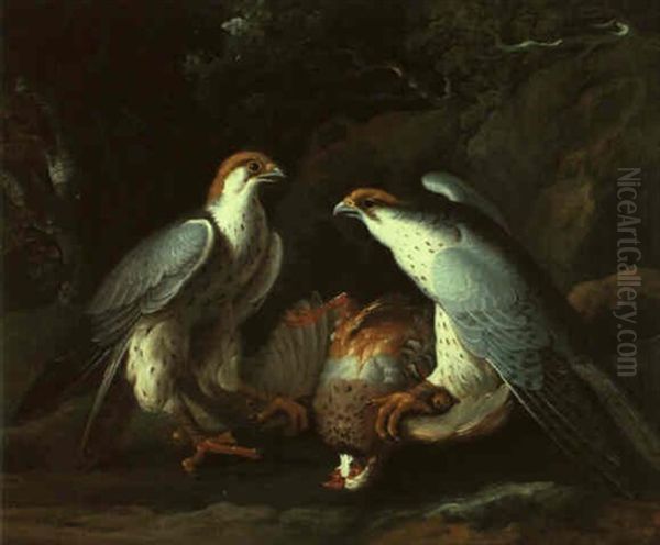 Zwei Jagdfalken Mit Einem Erlegten Vogel - view 1