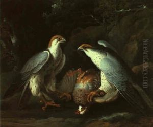 Zwei Jagdfalken Mit Einem Erlegten Vogel