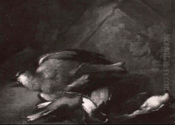 Stilleben Mit Toten Vogeln - view 1