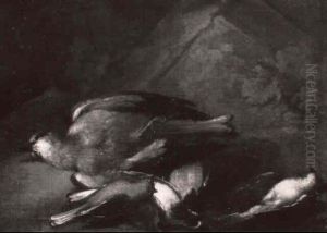 Stilleben Mit Toten Vogeln