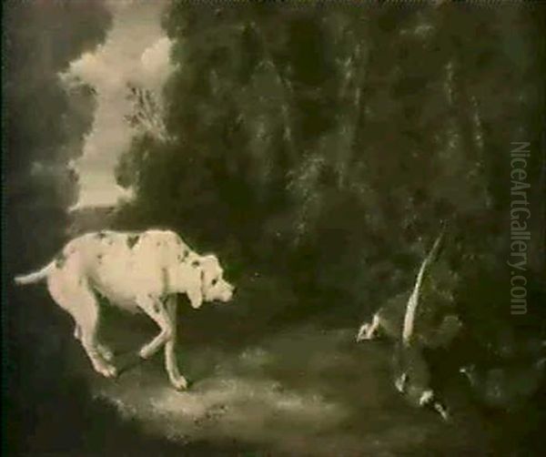 Ein Jagdhund Und Fasane In Einer Waldlandschaft - view 1