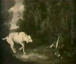 Ein Jagdhund Und Fasane In Einer Waldlandschaft