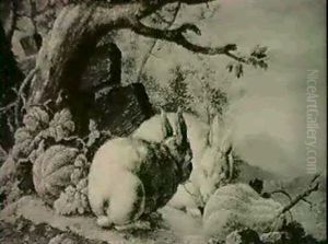 Rabbits In A Landscape With Gourds