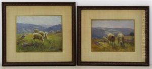 Sheep Grazing In Landscape (pair)
