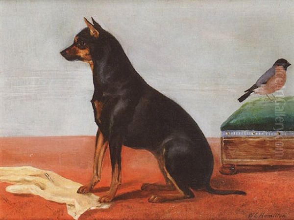 The Countess Of Shannon's Favourite Dog "sprite" With A Bullfinch In An Interior - view 1