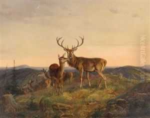 Hirsch Mit Hirschkuhen Auf Einer Anhohe In Mittelgebirgslandschaft by Edmund Guido Hammer